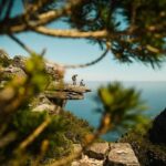 Beautiful Table Mountain Hike - Kasteelspoort - Pricing & Value Analysis