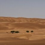 Bediyah: Under the Arabian starry sky - looking at the stars - Final Thoughts: Who Will Love This Tour?