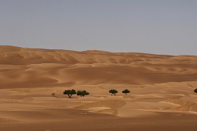Bediyah: Under the Arabian starry sky - looking at the stars - Final Thoughts: Who Will Love This Tour?