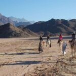 Bedouin BBQ in the Egyptian Desert by 4x4 - Practical Details and Tips