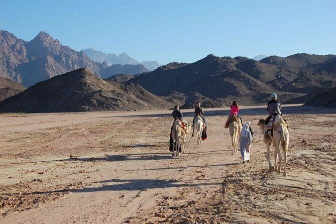 Bedouin BBQ in the Egyptian Desert by 4x4 - Practical Details and Tips