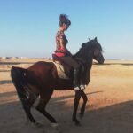 Bedouin Dinner, Egyptian Show and Horse Ride tour 1 Hour - Sharm El Sheikh - Considerations and Possible Drawbacks
