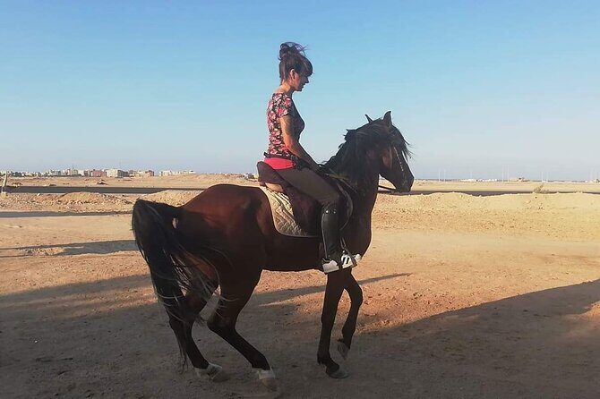 Bedouin Dinner, Egyptian Show and Horse Ride tour 1 Hour - Sharm El Sheikh - Considerations and Possible Drawbacks