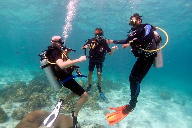 Beginner Scuba Dive 2 diving Stops & Lunch Boat Trip - El Quseir - Why This Tour Offers Great Value