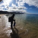 Beginner Scuba Diving Experience in Simonstown. - What’s Included and What to Consider