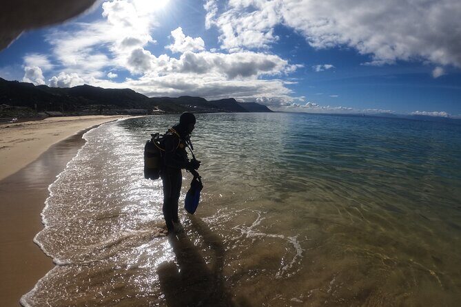 Beginner Scuba Diving Experience in Simonstown. - What’s Included and What to Consider