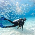 Beginners Scuba Diving, 2 Stops, Full Day Trip & Lunch - Hurghada - The Itinerary in Detail: What to Expect