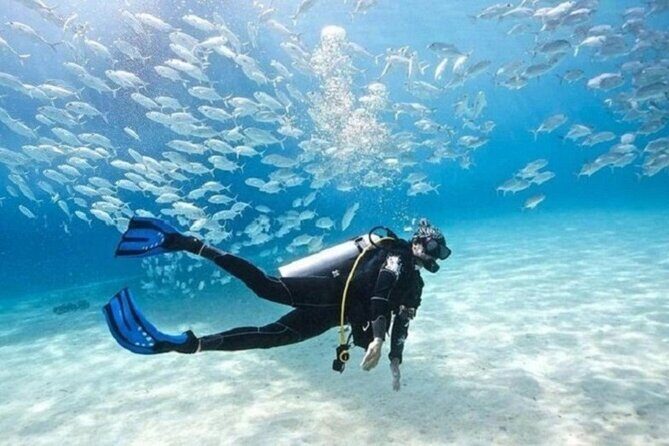 Beginners Scuba Diving, 2 Stops, Full Day Trip & Lunch - Hurghada - The Itinerary in Detail: What to Expect