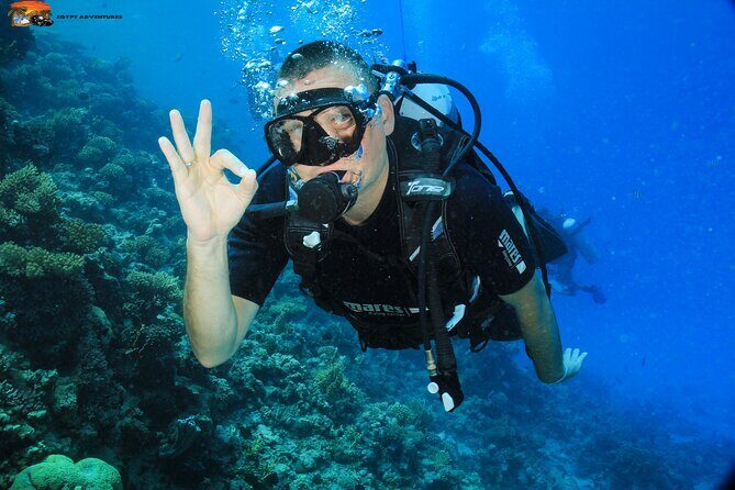 Beginners Scuba Diving Boat Trip With Equipment & lunch -Hurghada - What to Expect: The Day Unfolds