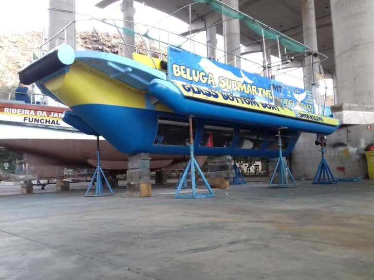 Beluga Submarine Glass-Bottom Boat Tour w/ Snorkeling Option - What the Reviews Reveal