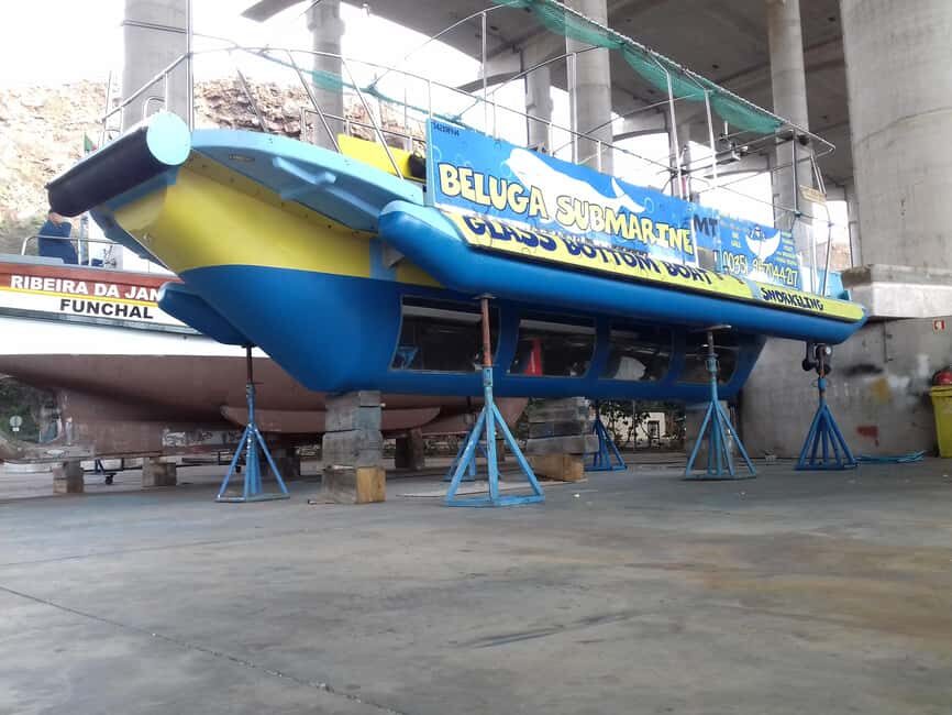 Beluga Submarine Glass-Bottom Boat Tour w/ Snorkeling Option - What the Reviews Reveal