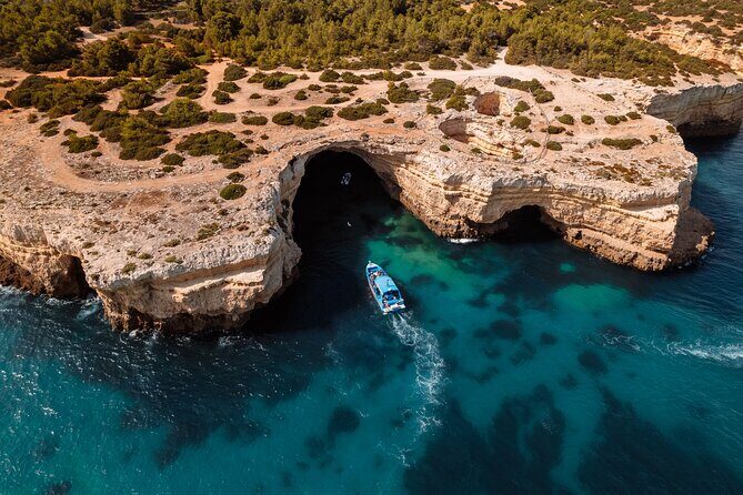Benagil Caves and Dolphin Watching - 2.5h - Why This Tour Offers Good Value
