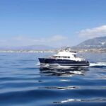 Benalmádena: Catamaran Cruise with Drinks and Swim Stop - What to Expect: From Boarding to the End of the Trip