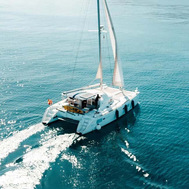 Benalmádena: Catamaran with dolphin watching and drinks - The Value of the Experience