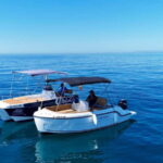 Benalmádena: license-Free Rent Boat for Dolphin Watching - Who Is This Experience Perfect For?