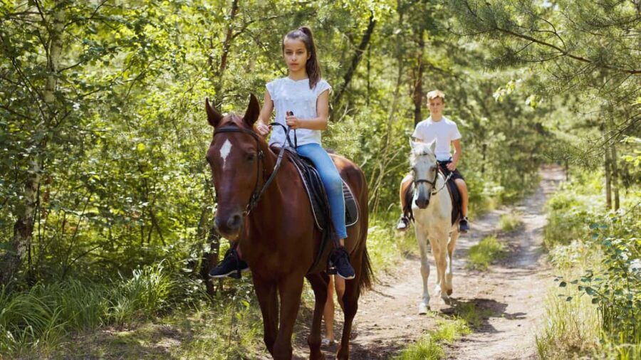 Benevento: Horseback Riding Tour with Aperitif - The Value of This Experience