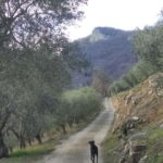 Berici Hills: Guided Hike to Alonte 21/09 only! - In-Depth Look at the Itinerary