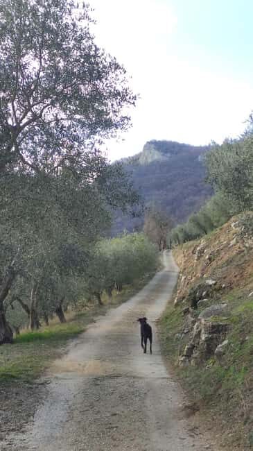 Berici Hills: Guided Hike to Alonte 21/09 only! - In-Depth Look at the Itinerary