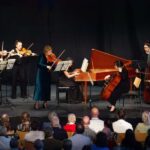 Berlin: Classical concerts at Schönhausen Palace - Who Will Love This Experience?