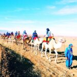 Best Altas mountains & Berber villages day trip with camel ride - Final Thoughts: Who Will Love This Tour?