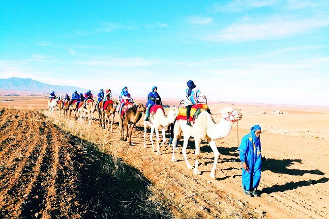 Best Altas mountains & Berber villages day trip with camel ride - Final Thoughts: Who Will Love This Tour?
