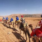 Best, Day trip to the Atlas Mountains, Camel ride, waterfalls, from Marrakech - Practical Tips for Travelers