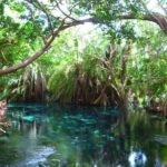 Best Materuni waterfall and chemka hotspring day Tour Experience - Authentic Experiences Based on Review Insights