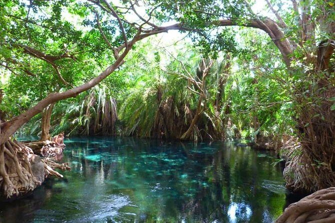 Best Materuni waterfall and chemka hotspring day Tour Experience - Authentic Experiences Based on Review Insights