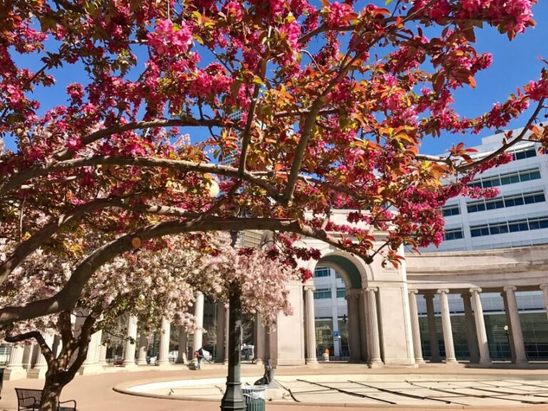 Best of Denver Walking Tour - Why This Tour Offers Great Value