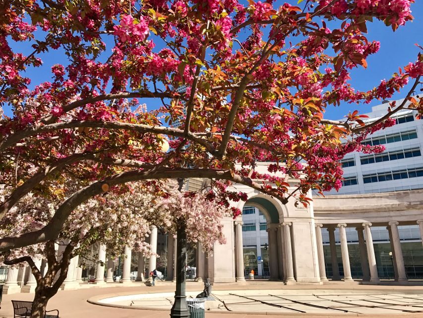 Best of Denver Walking Tour - Why This Tour Offers Great Value