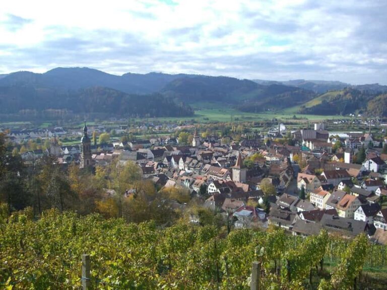 Best of Gengenbach Walk Tour with a Professional Guide - Exploring Gengenbach: An Overview