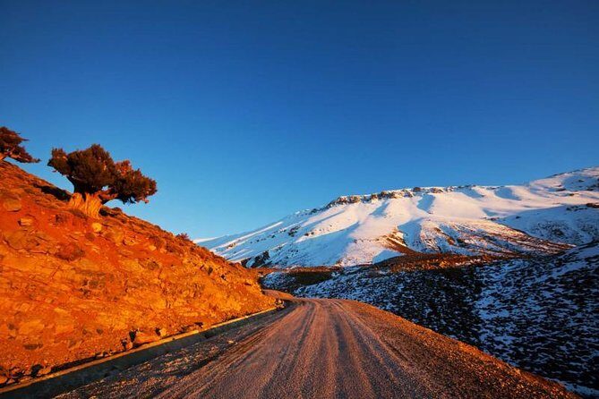Best of Morocco Tour (15 days) - A Complete Breakdown of the Tour Experience