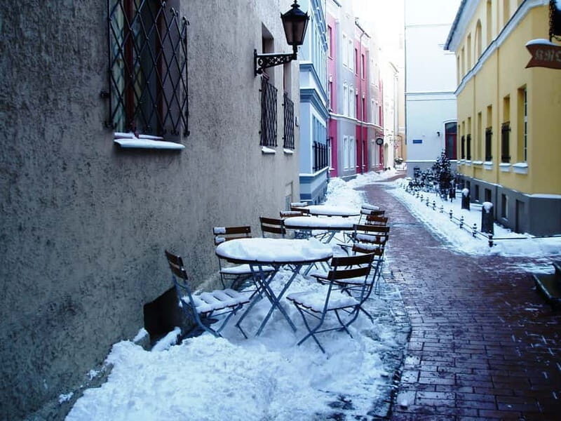 Best of Riga Private Walking Tour - Who Will Love This Tour?