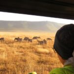 Best Of Six Days Safari Camping safari - Day 3 & 4: Serengeti National Park – Heart of the Migration