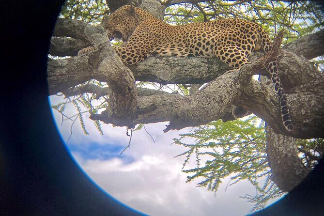 Best of Tanzania 5days 4nights safari - FAQ