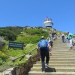 Best of the Cape (Cape Point & Winelands) - Authentic Insights from Travelers