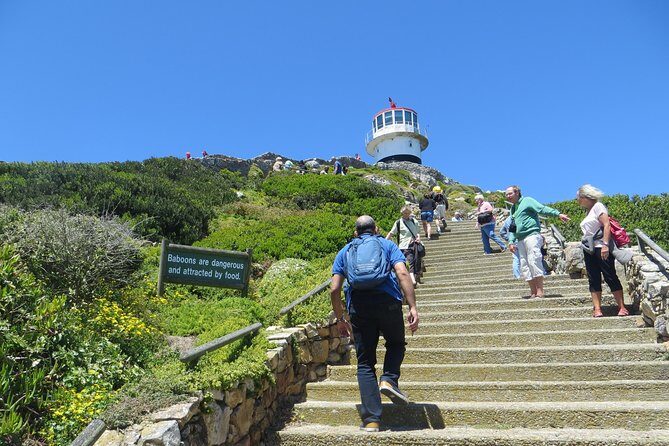 Best of the Cape (Cape Point & Winelands) - Authentic Insights from Travelers