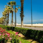 Best of Valencia: Highlights with Private Transport - What You Can Expect from the Tour