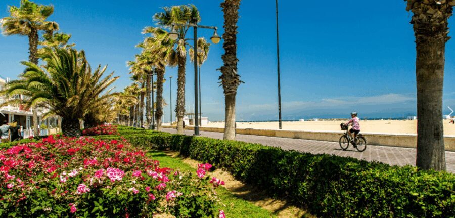 Best of Valencia: Highlights with Private Transport - What You Can Expect from the Tour