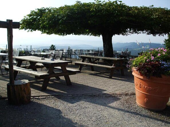 Best of Zurich Tour with Felsenegg Cable Car and Ferry Ride - FAQ