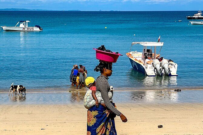 Best Price 7 Days Madagascar Family Tour with Baobabs Avenue - Transportation & Logistics: Why It Matters