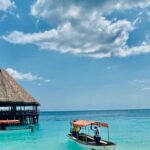 Best Safari and Zanzibar 10-Days Excursions - Practical Details & Insights