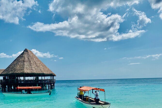 Best Safari and Zanzibar 10-Days Excursions - Practical Details & Insights