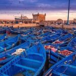Best shared day trip to Essaouira from Marrakech - Transportation and logistics