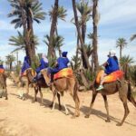 Best Sunset Camel Ride with tea break in the Palm Grove of Marrakech - The Final Moments: Sunset and Reflection