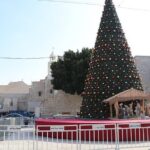 Bethlehem Full Day Tour - Final Thoughts: Who Is This Tour Best For?