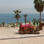 Bethlehem & The Dead Sea Full Day Tour from Jerusalem/TLV - Transportation and Logistics