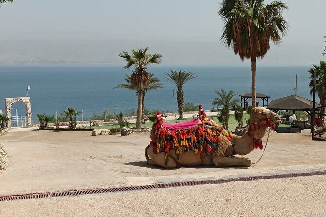 Bethlehem & The Dead Sea Full Day Tour from Jerusalem/TLV - Transportation and Logistics