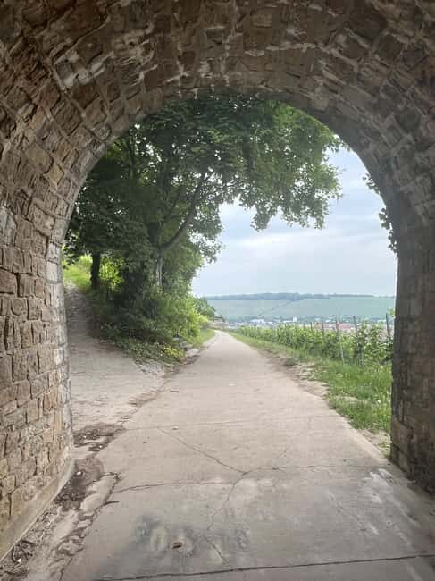 Between vineyards and a royal residence  enjoy Würzburg's wines with a view - Who Is This Tour Best For?