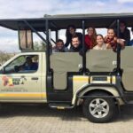 BIG 5 Kruger 3 Days Safari from Johannesburg - Detailed Breakdown of the Itinerary